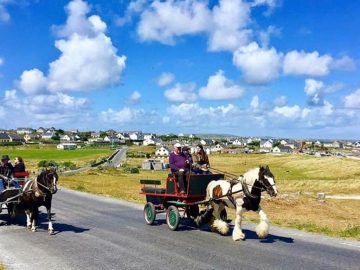 Horse Cart Aran Islands