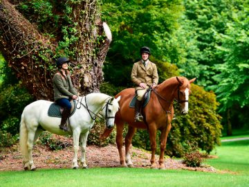 Ashford Outdoors & Equestrian Centre