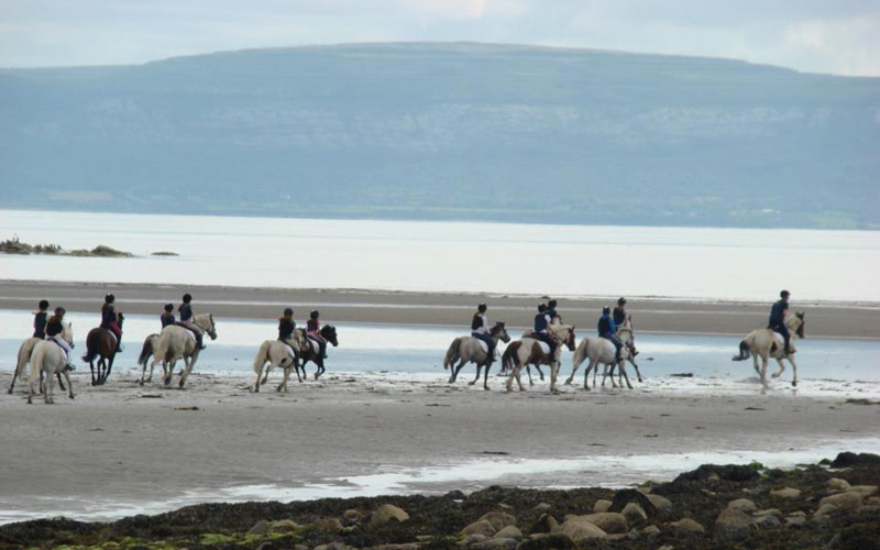 Beach Trekking