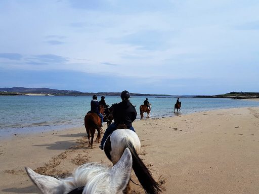 Cleggan Beach Riding Centre
