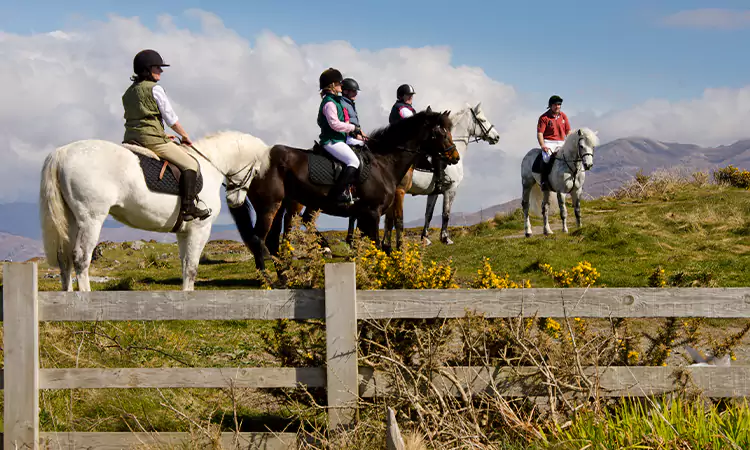 Connemara Equestrian Escapes Tours