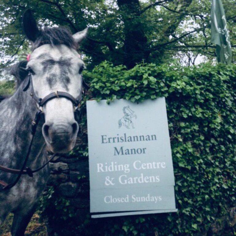 Errislannan Manor horse riding centre