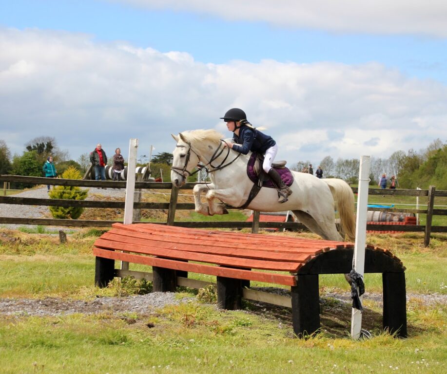 Flowerhill Equestrian Activities