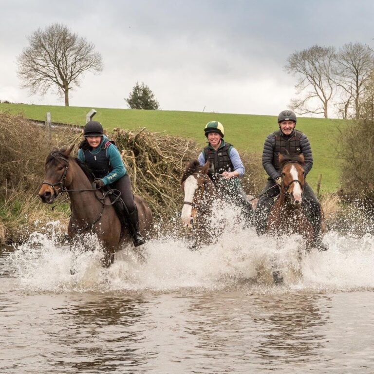 Flowerhill Equestrian Adventures