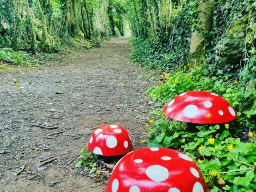 Glendeer fairy trail