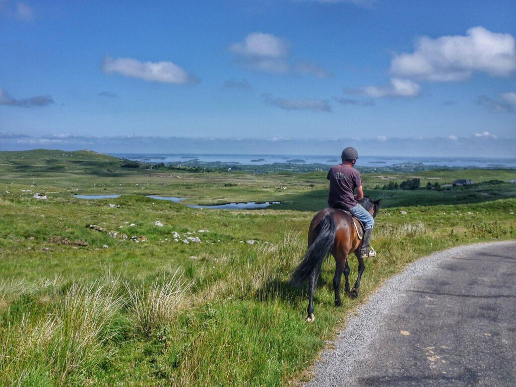Knockillaree Equestrian