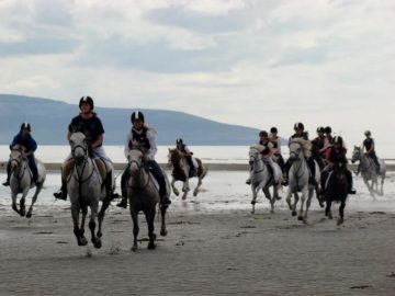 Beach Horse Riding