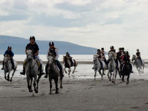 Beach Horse Riding