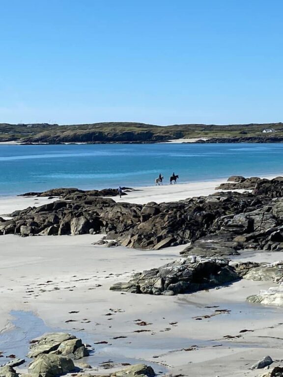 Point Pony Trekking Connemara