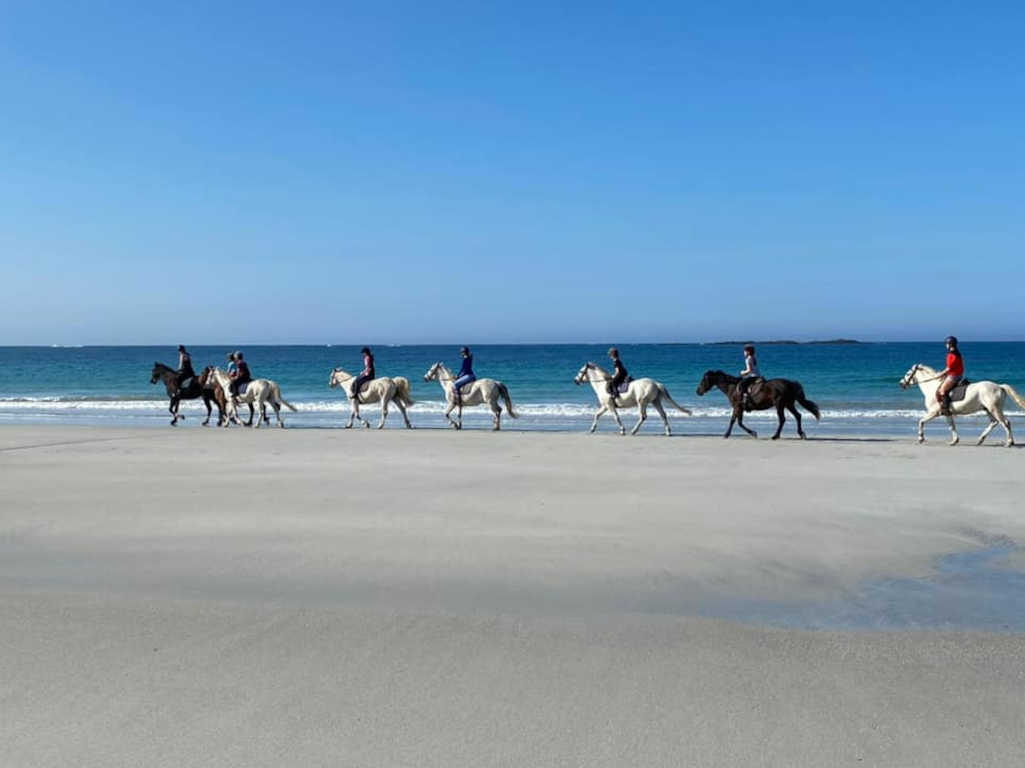 Point Pony Trekking Connemara