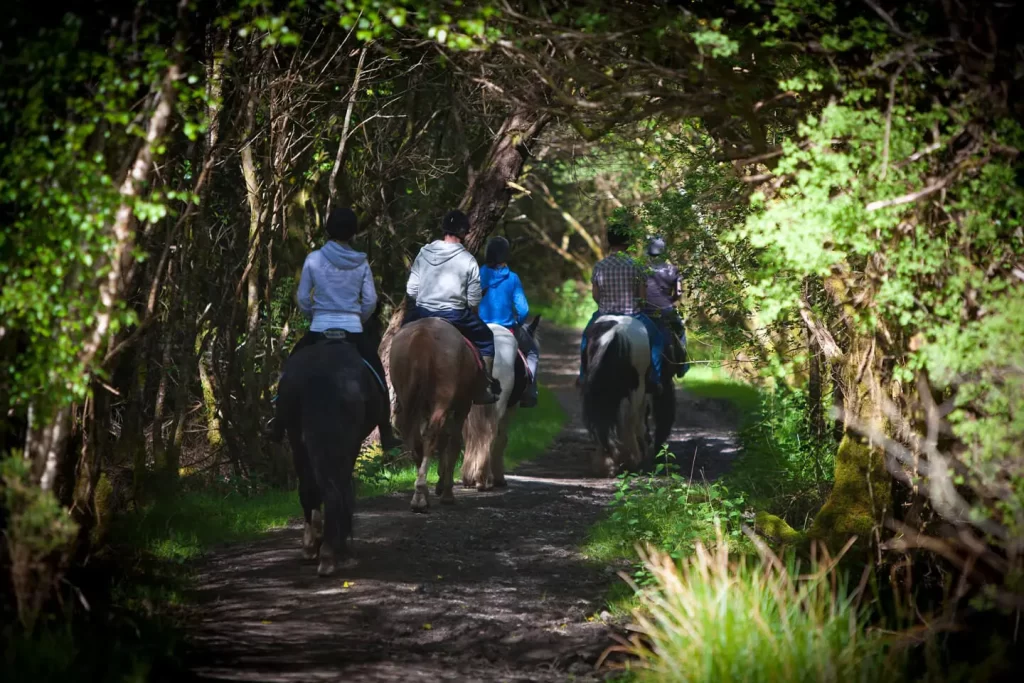 Slieve Aughty Horse Riding