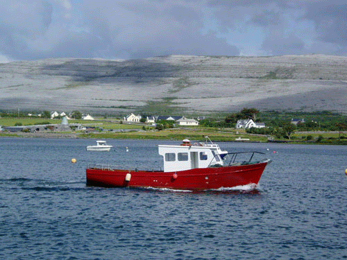 angling boat tours galway