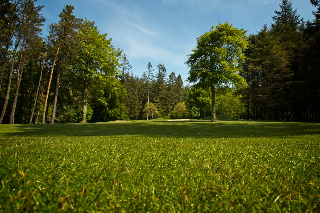 athenry golf course