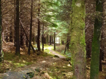 Derroura Mountain Bike Trail