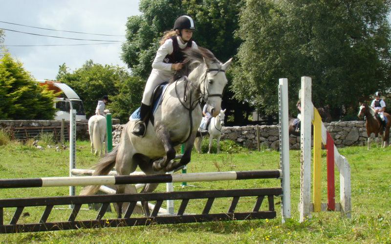 moycullen riding centre