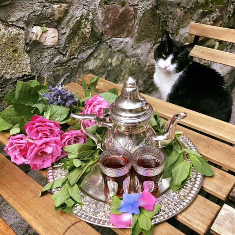 secret garden galway