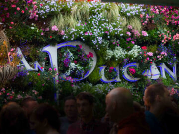 An Púcan Bar