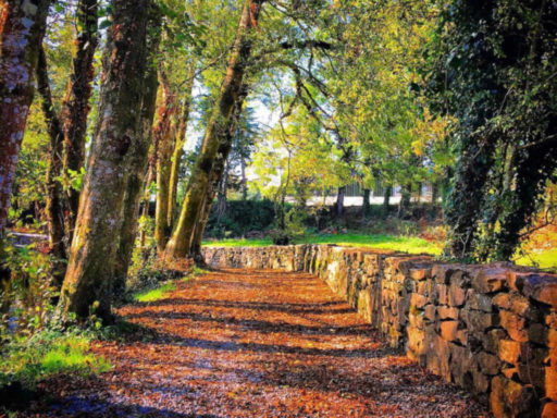 Path to entrance