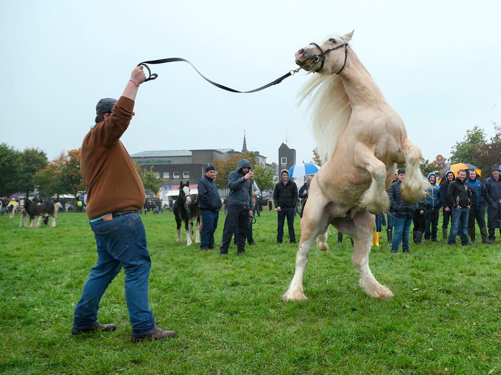 Ballinasloe Horse Fair - Wikipedia