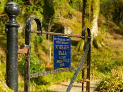 Ballyhainch walks