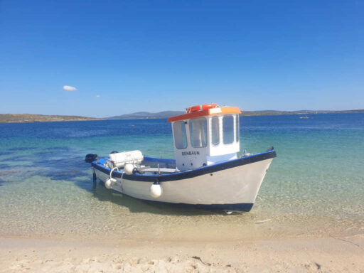 Boat tours