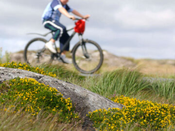 Bog road cycling