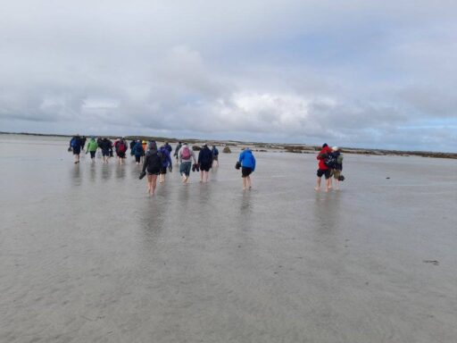 Walk to the island