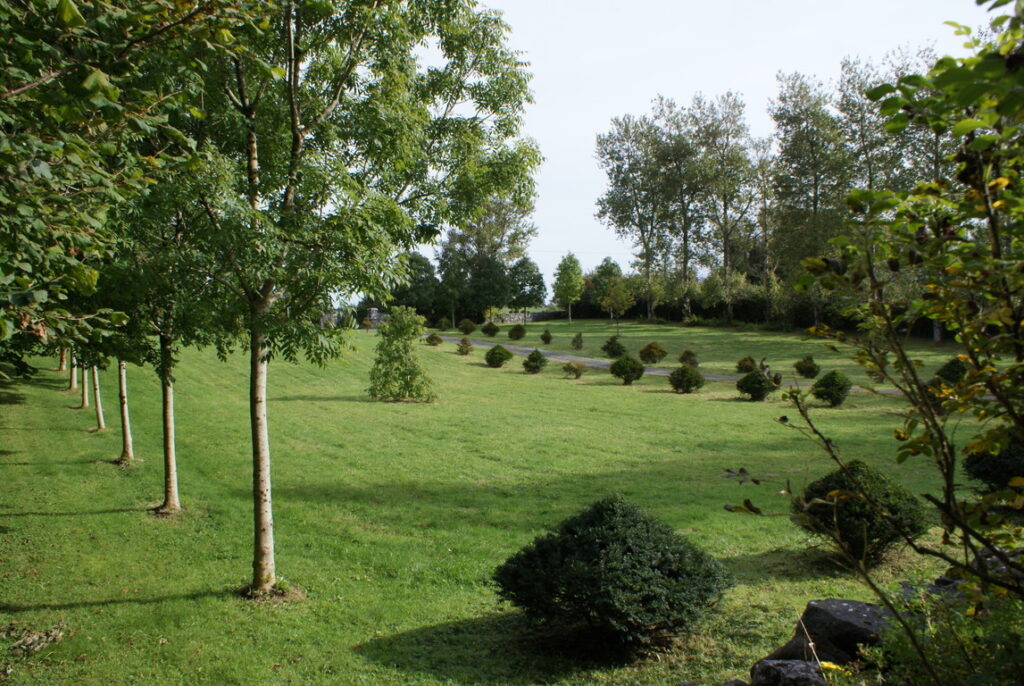 Carraigin Castle drive