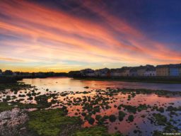 Claddagh Sunrise