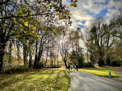Garryland Woodland walk