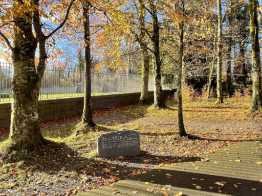 Deer enclosure