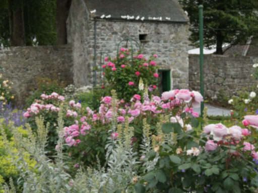Dovecote