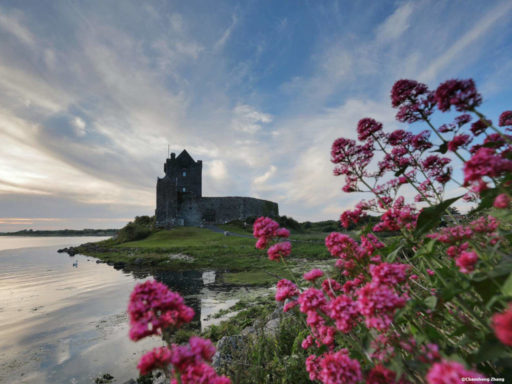 Dunguaire Castle Kinvara