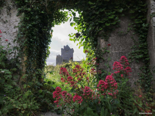 Dunguaire Castle