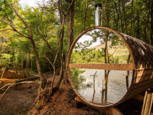 Forest sauna