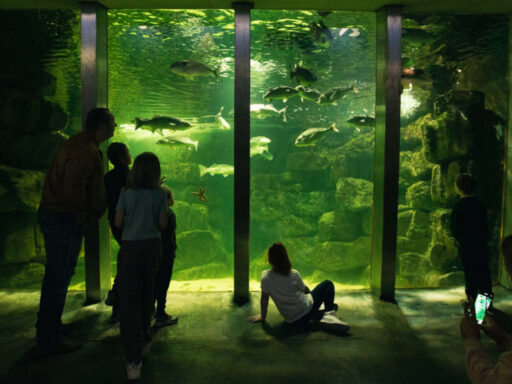 Galway Aquarium tank