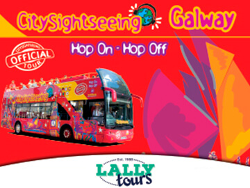 sightseeing tour bus galway