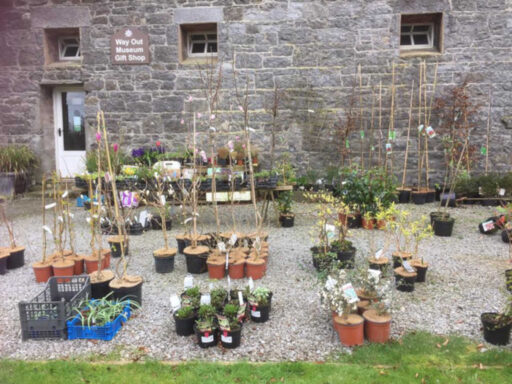 Garden Shop