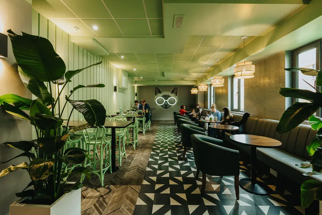 Kinlay House Hostel lounge