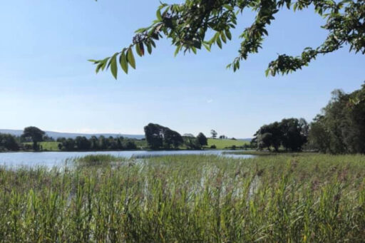 Lough Cutra summer