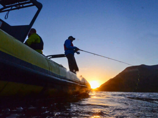 Mackerel Fishing