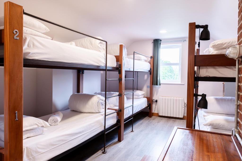Nest Hostel Dorms