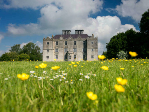 Castle meadow