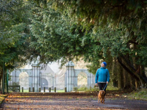 Portumna Castle walks