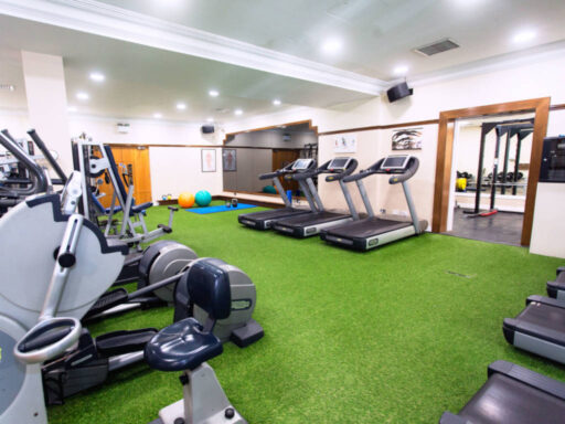 The Ardilaun Gym