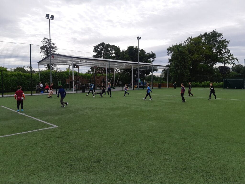 Turoe Pet Farm Astro-Turf