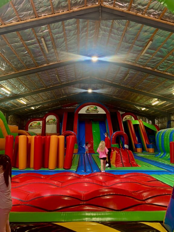Turoe Pet Farm indoors