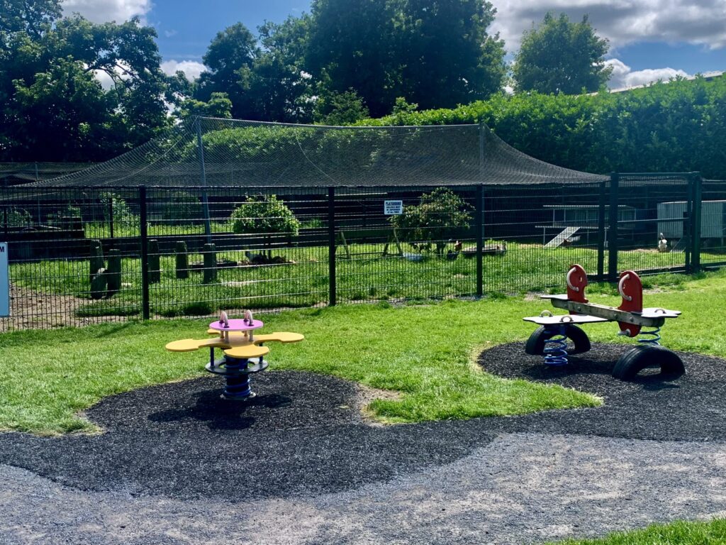 Turoe Pet Farm play