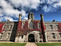 University of Galway