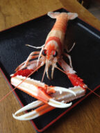Wa Sushi shrimp